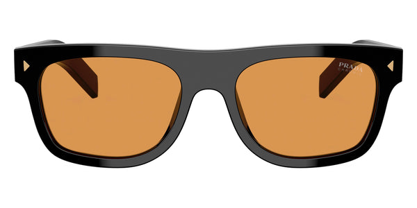 Black / Brown Photochromic / 55-19-145