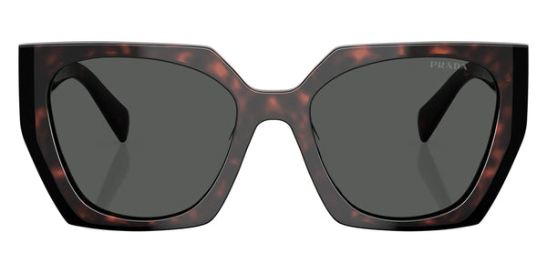 Root/Black / Dark Gray / 54-19-140