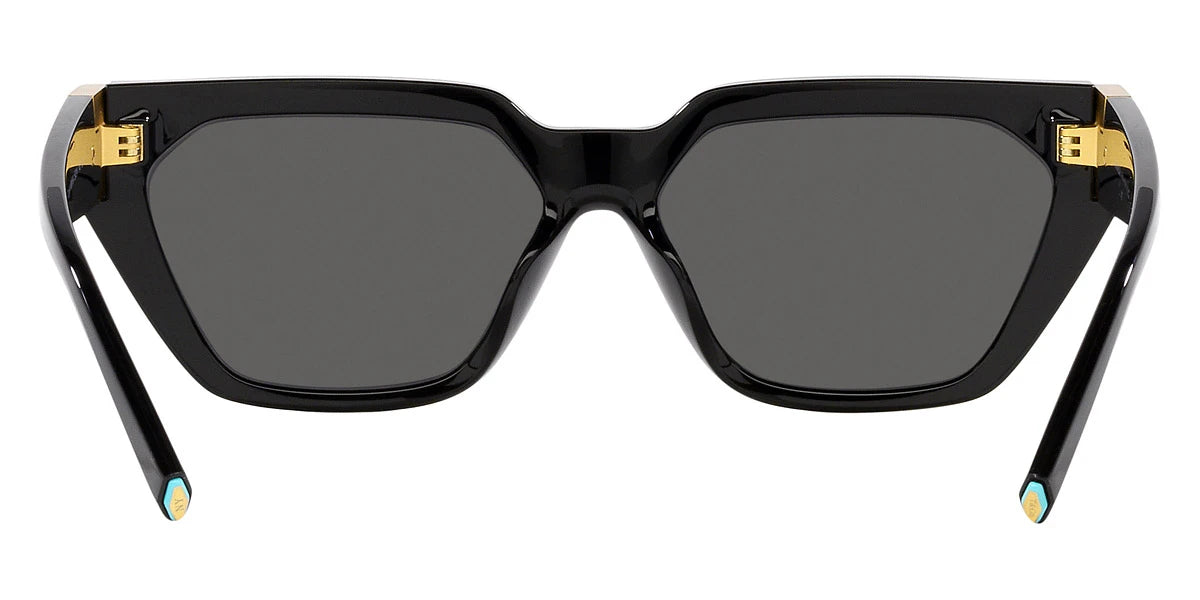 TIFFANY TF4205U 8001S4 56 - Black / Gray Gradient