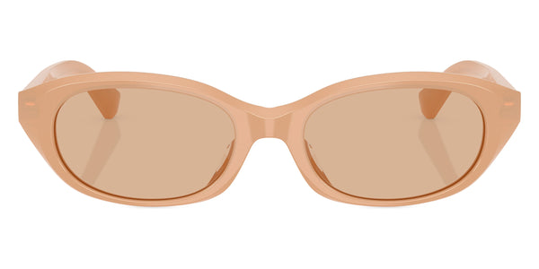 Beige / Dark Brown / 55-19-145