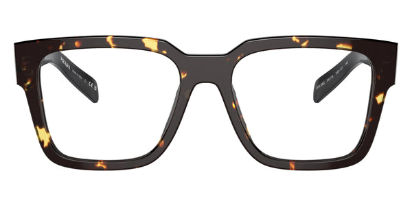 Tortoise Black Malt/Black / 54-18-140