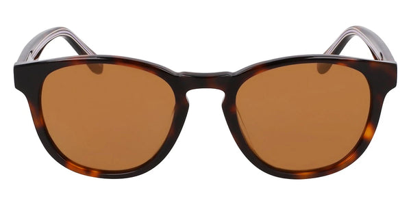 Tortoise / 50-20-145