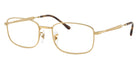 Ray-Ban RX6533 2500 52 - Arista Gold