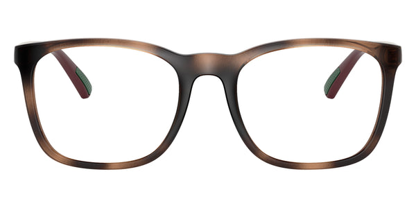 Shiny Dark Havana/Shiny Burgundy / 52-19-145