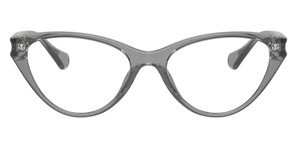 Transparent Gray / 54-17-140