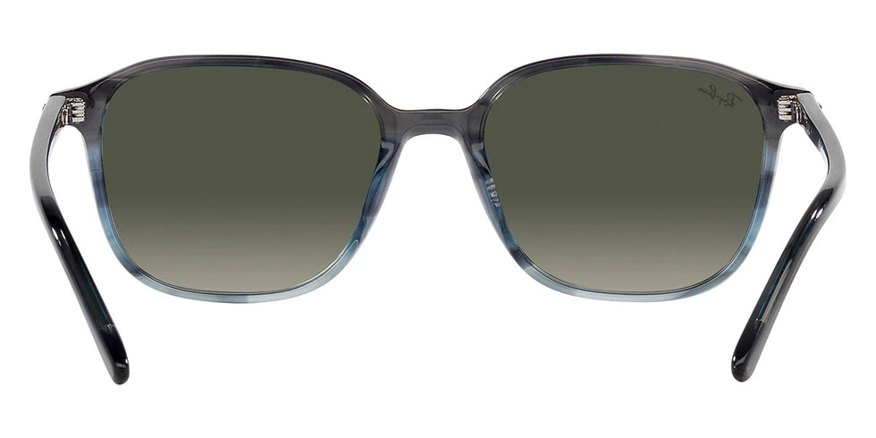 Ray-Ban - Leonard RB2193F