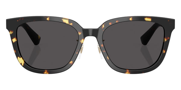 Dark Havana / Dark Gray / 57-20-145