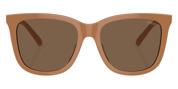 Shiny Brown / Dark Brown / 55-18-145