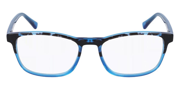 Midnight Tortoise / 51-16-140