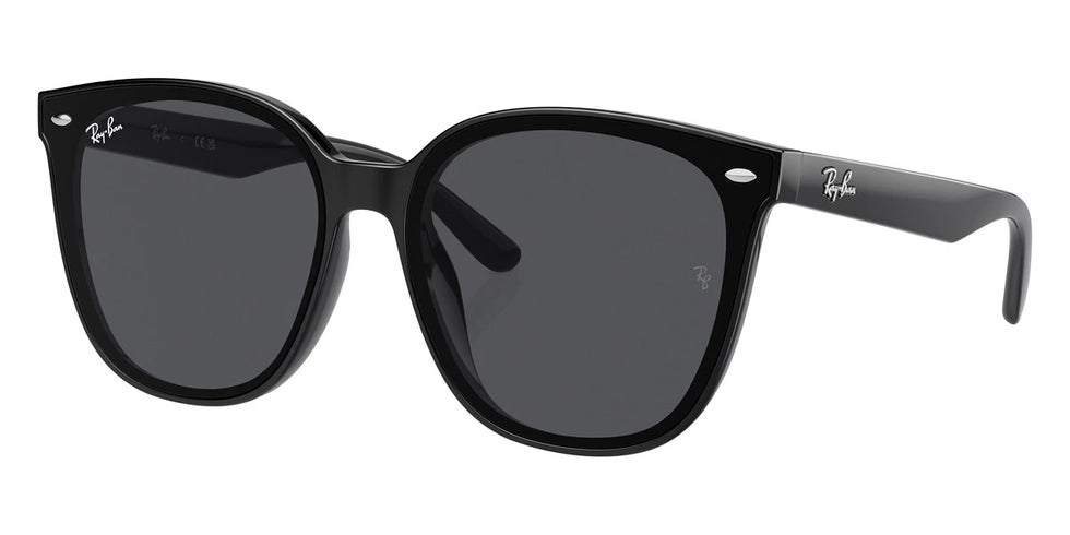 Ray-Ban - RB4423D