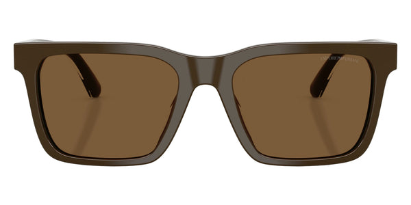 Shiny Brown / Brown / 57-19-145