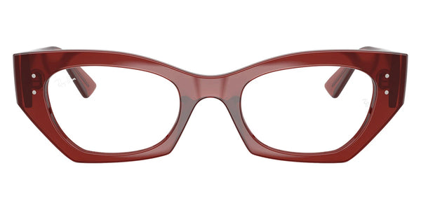 Shiny Rusty Brown / 49-22-145