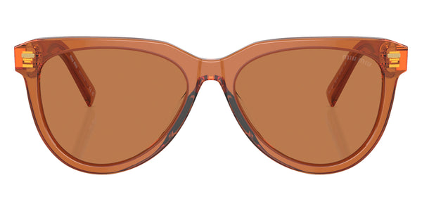 Caramel / Brown / 56-16-140