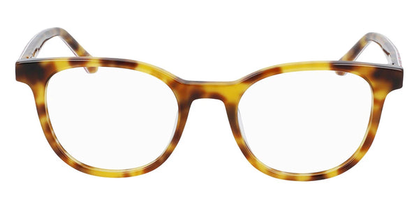 Tortoise / 48-19-135