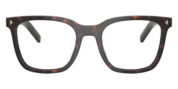 Root Tortoise / 52-19-145