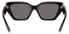 TIFFANY TF4218 800181 55 - Black / Dark Gray Polarized