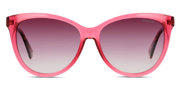 Cherry Havana / Burgundy Gradient / 56-15-145