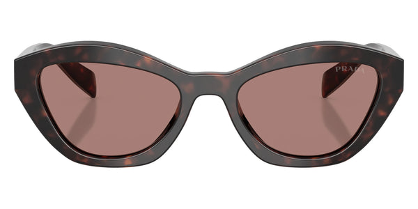 Root Tortoise / Light Brown / 52-19-140