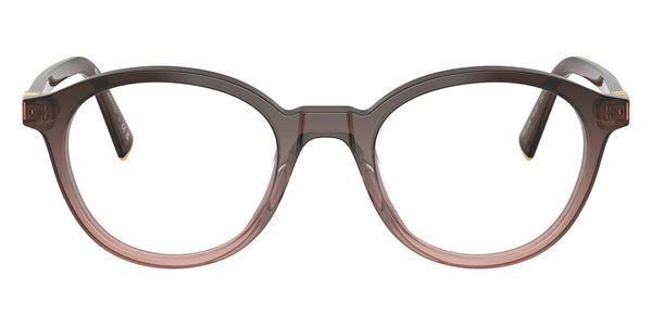 Bordeaux Gradient/Transparent Bordeaux / 48-20-140