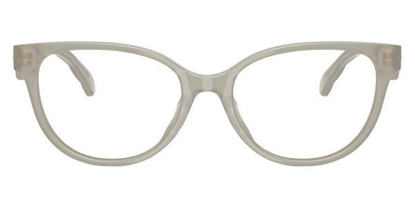 Honey Tortoise/Milky Gray Green / 53-17-145