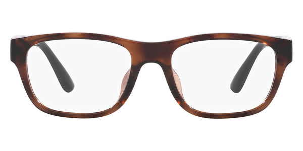 Shiny Havana Brown / 55-18-145