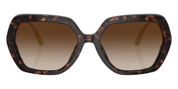 Havana/Gold / Gradient Brown / 58-18-145