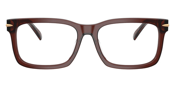 Brown Transparent / 55-17-145