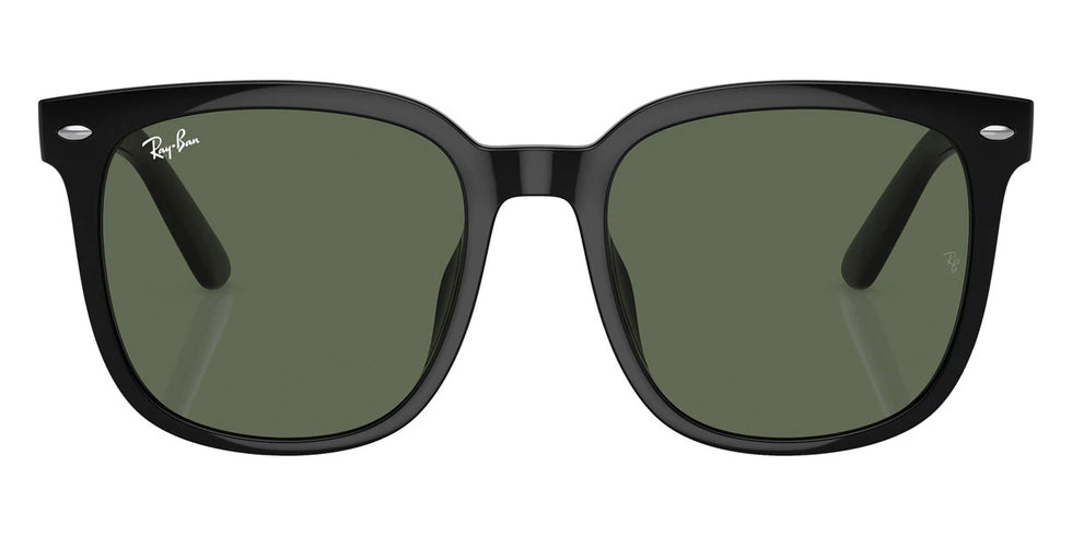 Ray-Ban - RB4401D