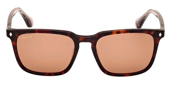 Red Havana/Shiny Beige / Brown / 54-18-145