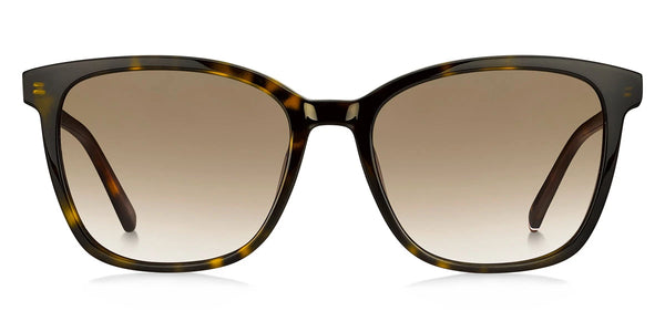 Havana / Brown Gradient / 54-18-140