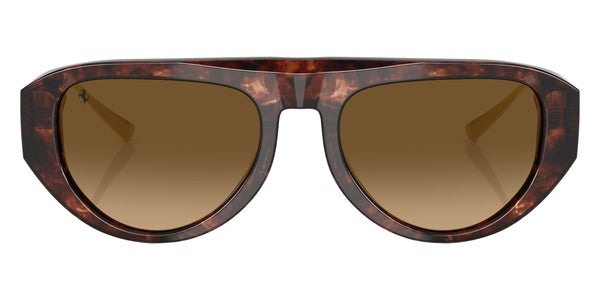 Havana Caramel / Gradient Brown Polarized / 55-19-145