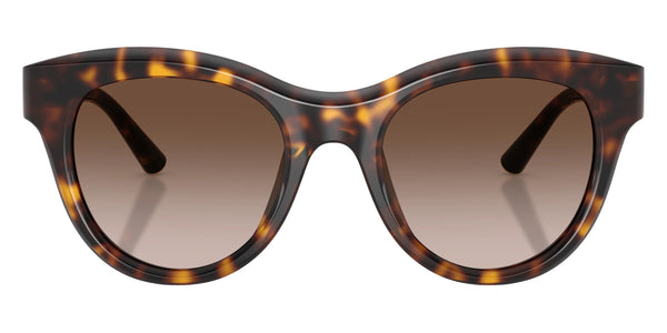 Havana / Gradient Brown / 52-21-145