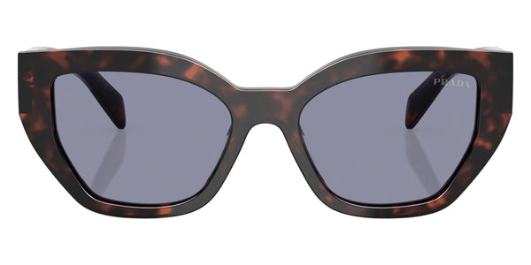 Root Tortoise / Gray / 53-18-145