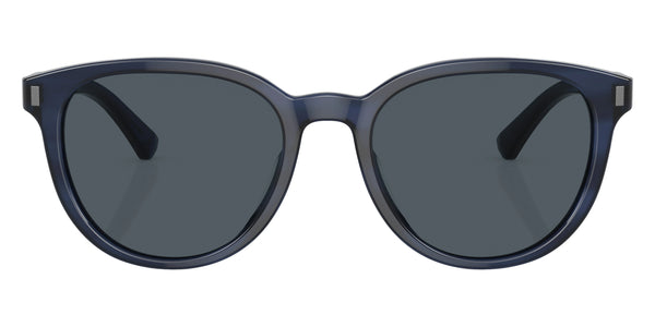 Navy Horn Bio / Blue Gray Solid / 55-19-145