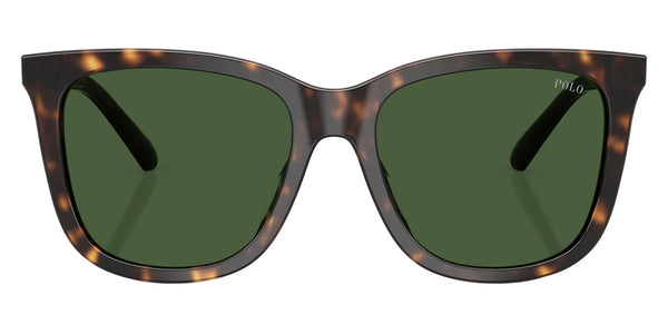 Shiny Dark Havana / Bottle Green / 55-18-145