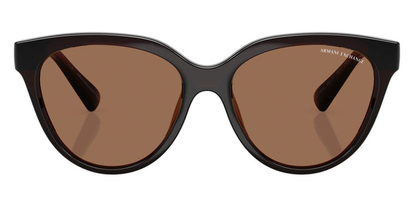 Shiny Transparent Brown / Dark Brown / 56-17-140