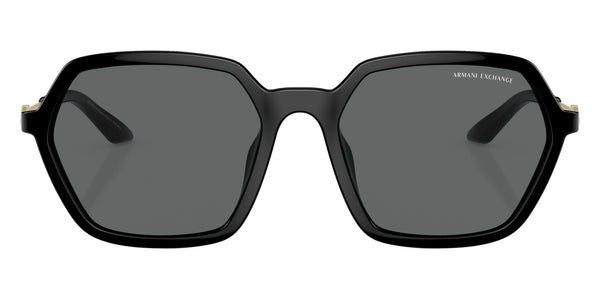 Shiny Black/Shiny Pale Gold / Dark Gray / 52-17-140