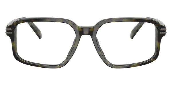 Olive Tortoise / 56-17-145