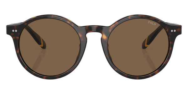 Shiny Dark Havana/Blue / Brown / 50-21-145