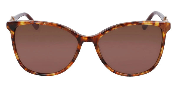 Tortoise / 56-15-140