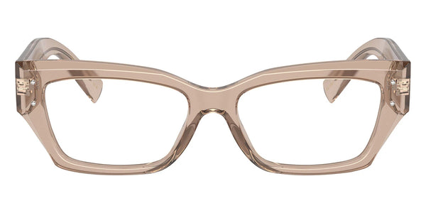 Transparent Camel / 53-16-145