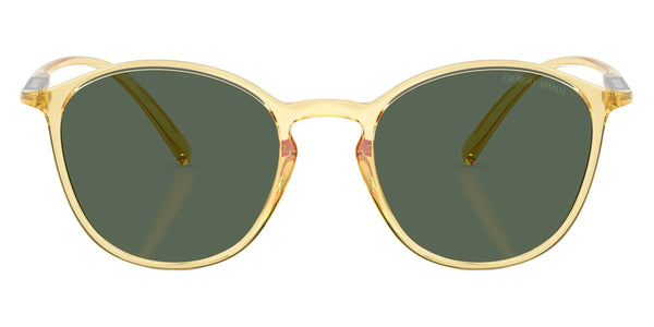 Honey/Transparent Honey / Dark Green / 51-20-145