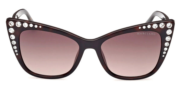 Dark Havana / Gradient Brown / 54-17-145