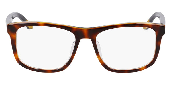 Tortoise/Crystal Smoke / 55-17-150