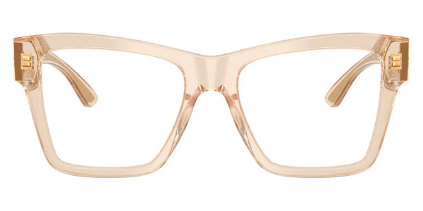 Transparent Camel / 52-18-145