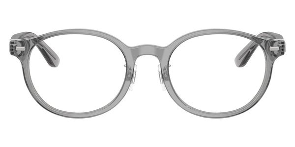 Shiny Transparent Gray / 51-20-145