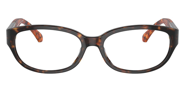 Dark Tortoise / 55-16-140