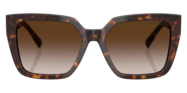 Crystal on Havana / Brown Gradient / 55-17-140