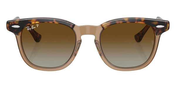 Havana on Transparent / Brown Polarized / 47-18-130