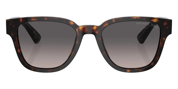 Tortoise / Polarized Gray Gradient / 52-20-140
